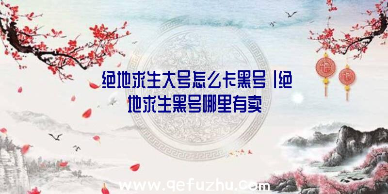 「绝地求生大号怎么卡黑号」|绝地求生黑号哪里有卖